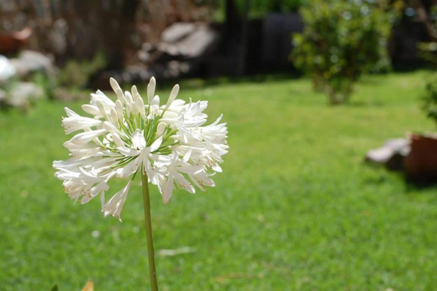 El Ensueno Villa ตีลการา ภายนอก รูปภาพ