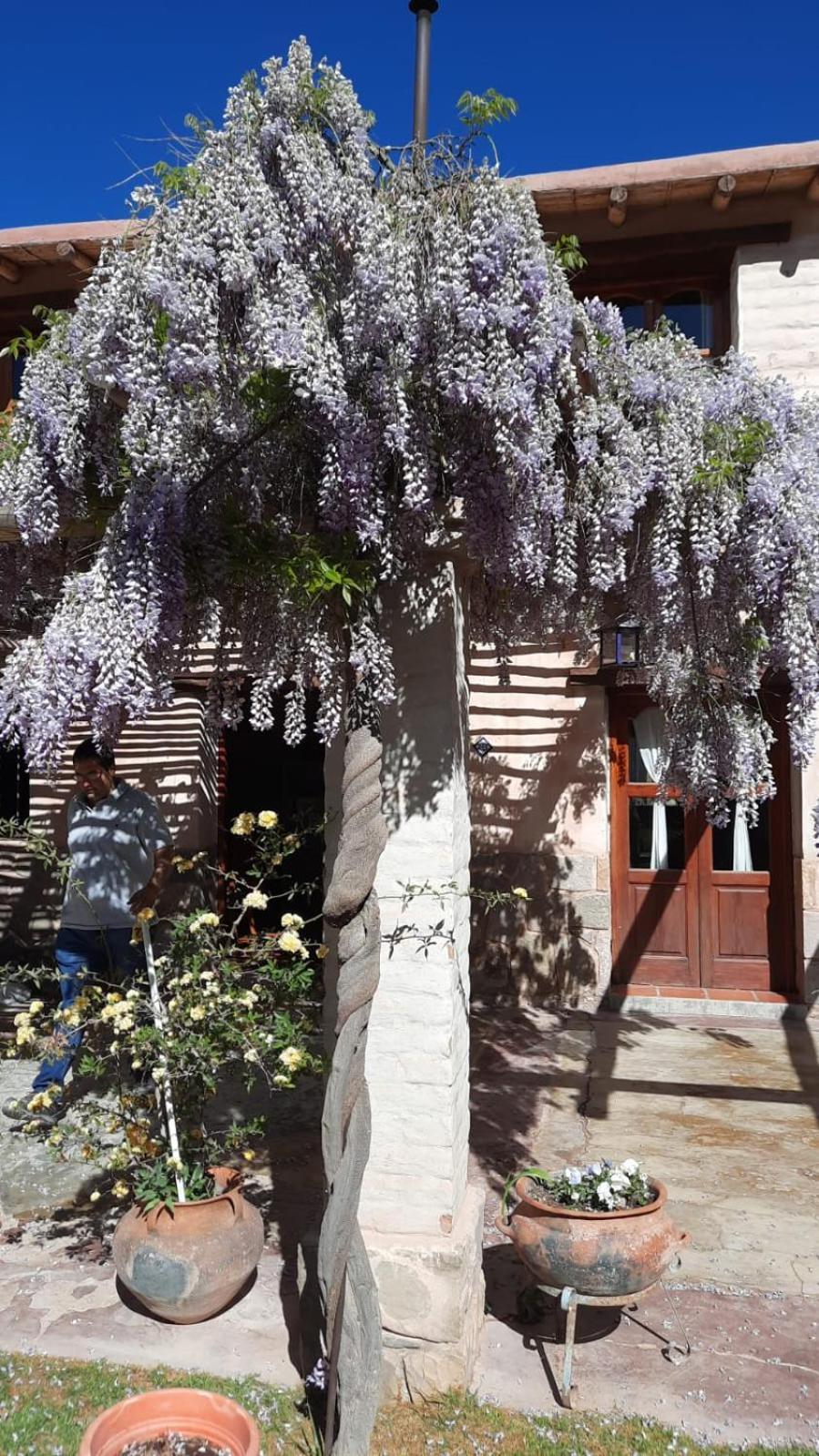 El Ensueno Villa ตีลการา ภายนอก รูปภาพ